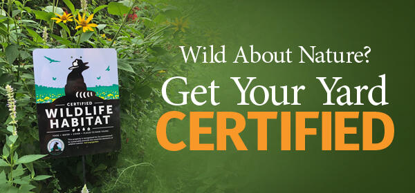 Turn Your Yard into a Certified Wildlife Habitat
