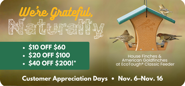 Customer Appreciation Sale Nov. 2025