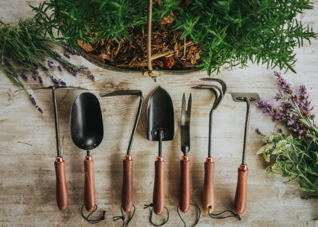 Bare Bones Gardening Tools