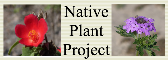 Native Plant Project