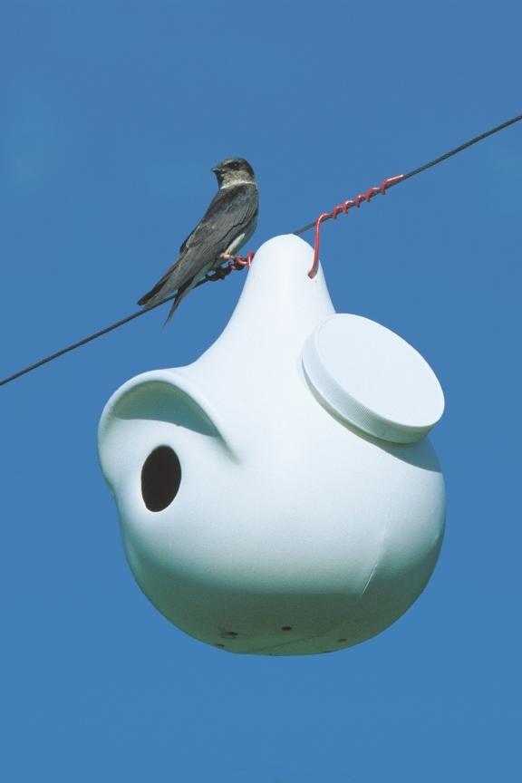 Gourd House with Purple Martin