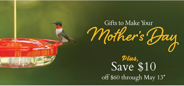Ruby-Throated Hummingbird at Feeder with text "Gifts to Make Your Mother's Day"