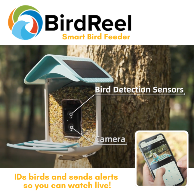 BirdReel Smart Bird Feeder