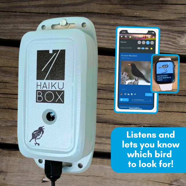 Haikubox Smart Birdsong Identifier