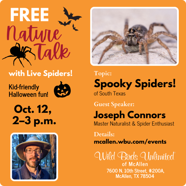 Spiders with Joseph Connors October 12 2024