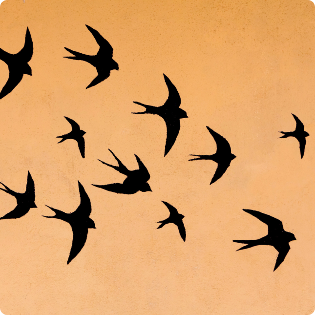 Flock of Swallows