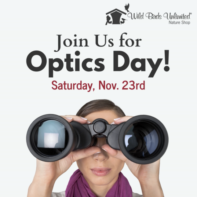 Optics Day Nov. 2024