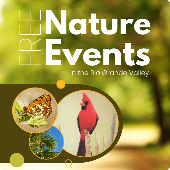 Nature Events Simple Square