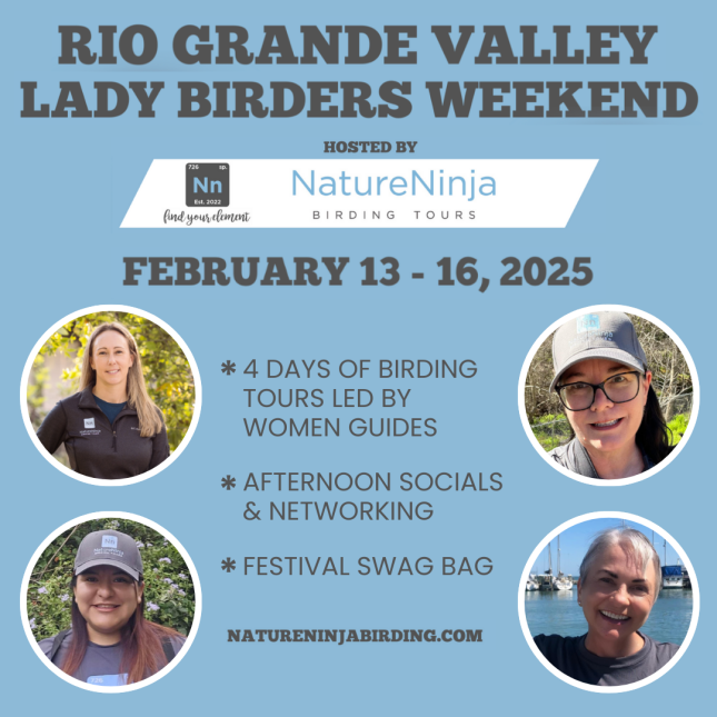 RGV Lady Birders Weekend Feb 2025