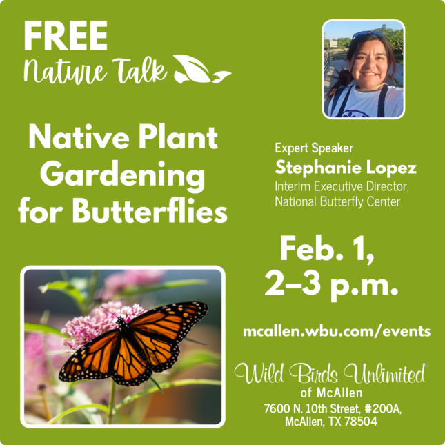 TALK - Native Plant Gardening for Butterflies - Stephanie Lopez - Feb 2025