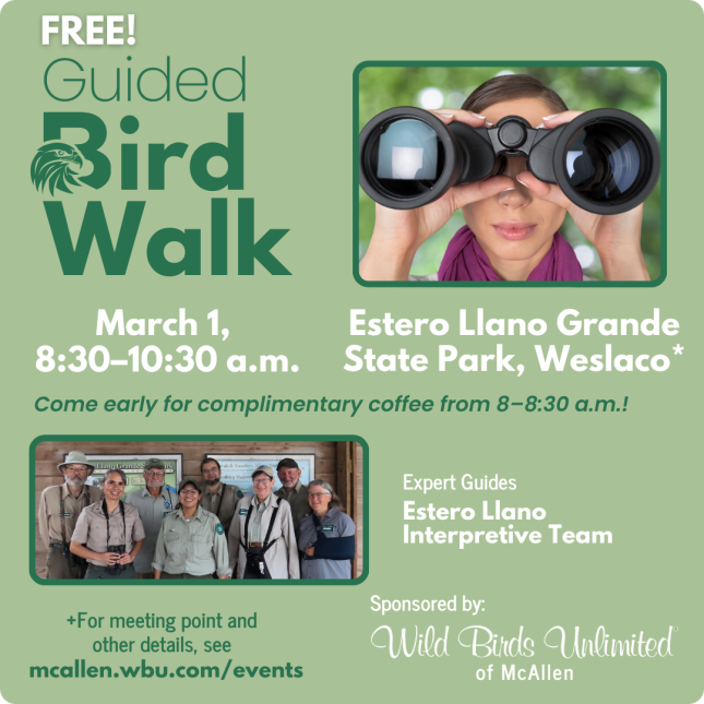 Bird Walk - Estero Llano Grande State Park