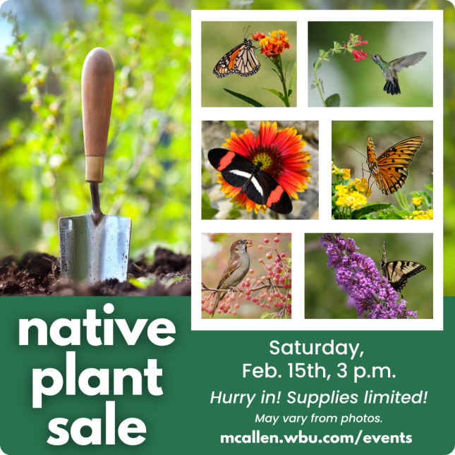 Native Plant Sale Feb 15 2025