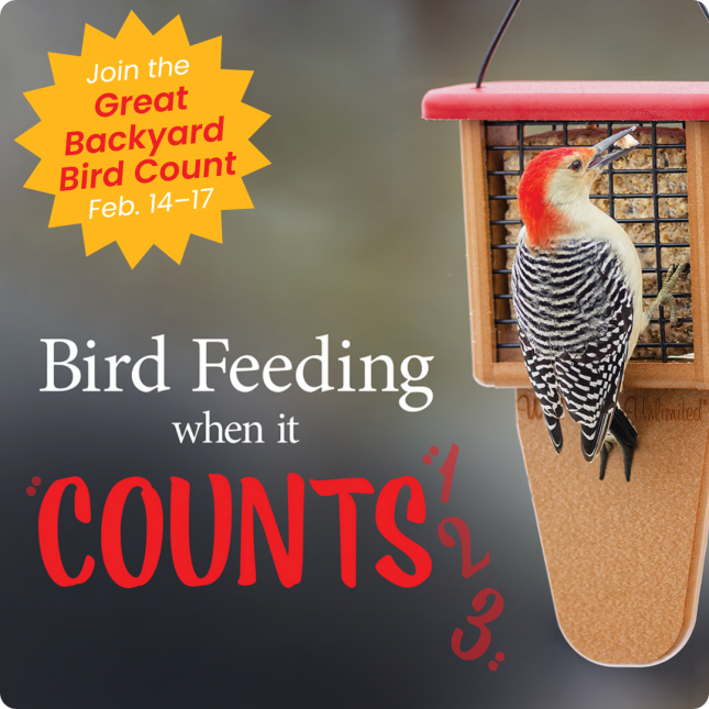 Great Backyard Bird Count 2025