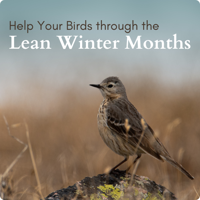 Lean Winter Months