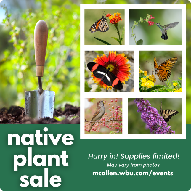 Native Plant Sale Feb 15 2025