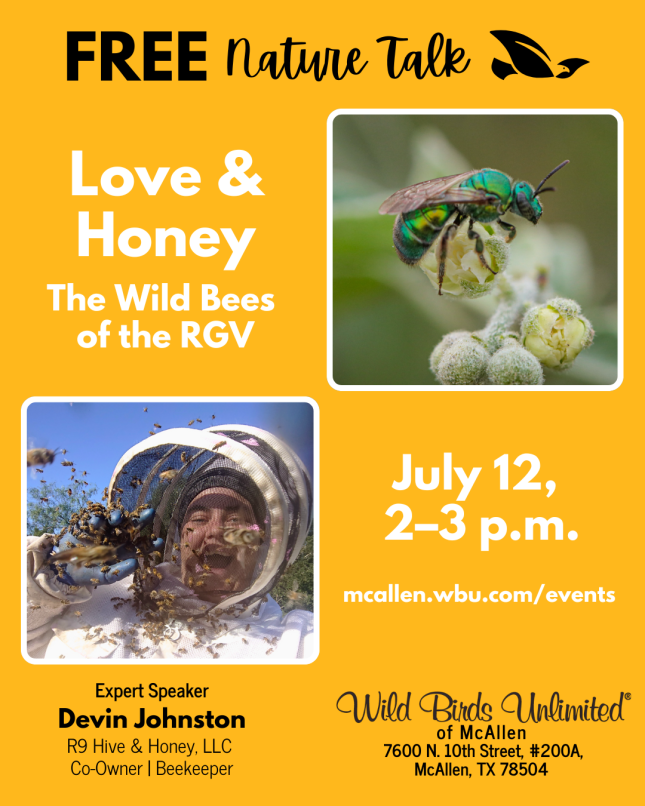 Free Talk: Love & Honey; The Wild Bees of the RGV