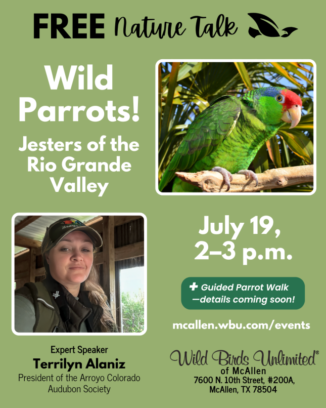 Free Talk: Wild Parrots of the RGV