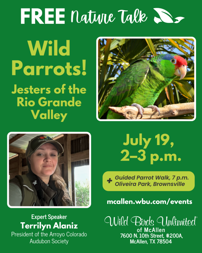Free Talk: Wild Parrots of the RGV