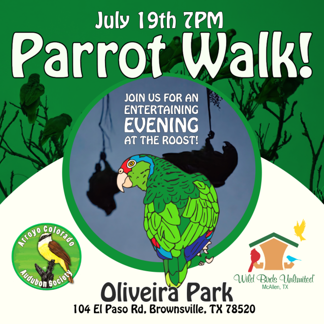 Parrot Walk in Brownsville