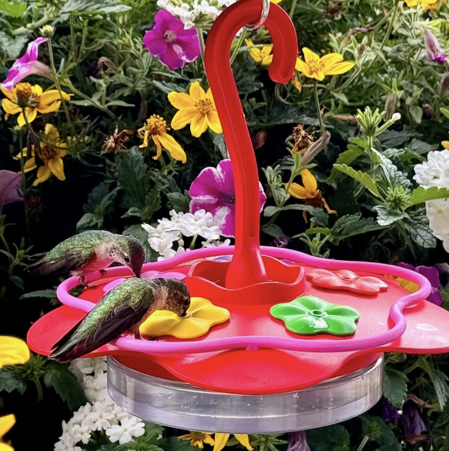 Glass Sipper Hummingbird Feeder