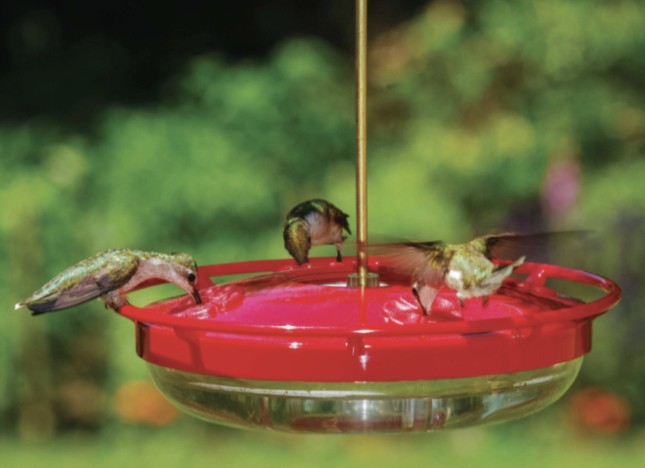 WBU High Perch Hummingbird Feeder