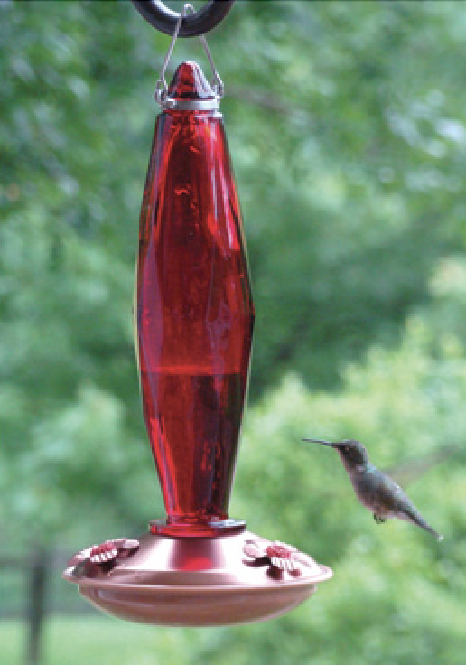 Glass Hummingbird Feeder