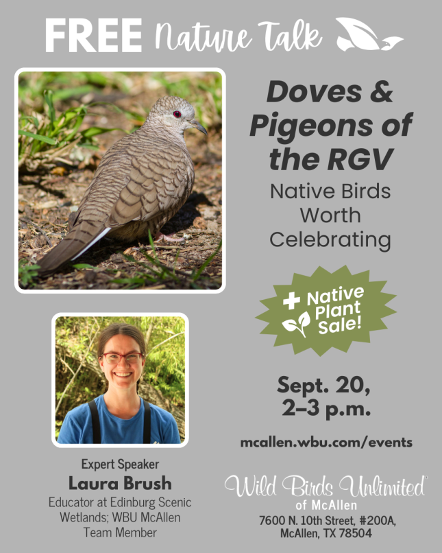 Free Talk: Doves of the RGV; Native Birds Worth Celebrating
