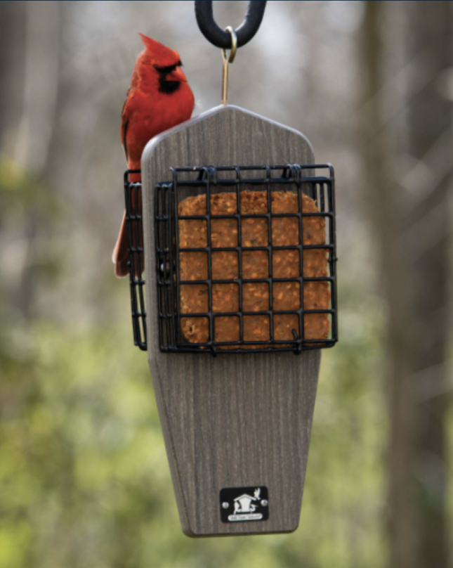 Northern Cardinal perched on WBU suet feeder
