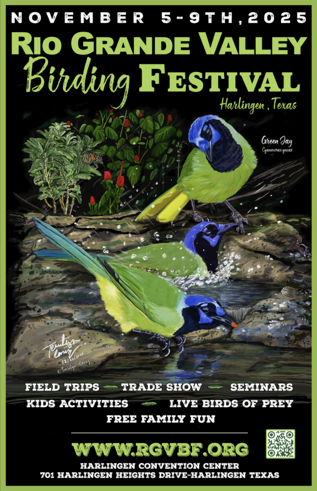 RGV Birding Festival 2025 Registration Open