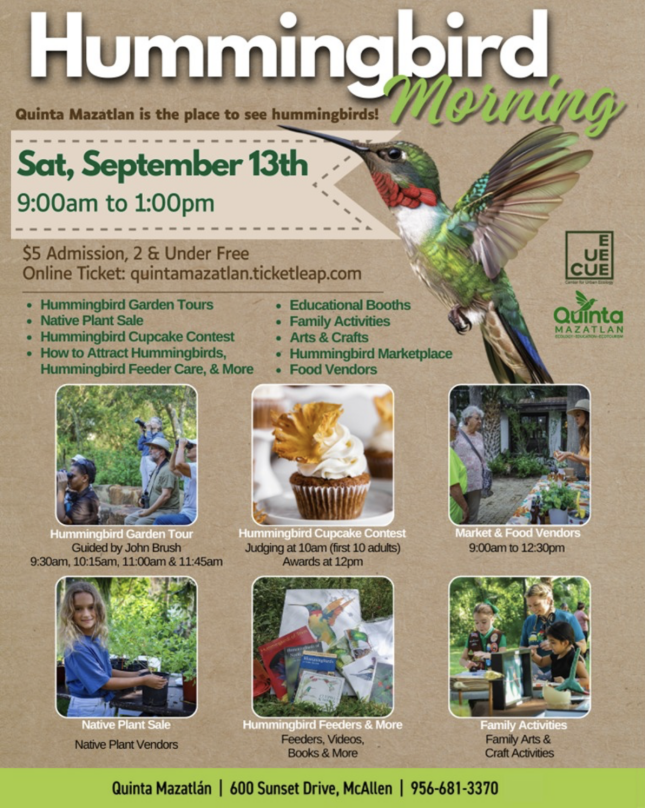 Quinta Mazatlan Hummingbird Morning Event Is September 13, 2025