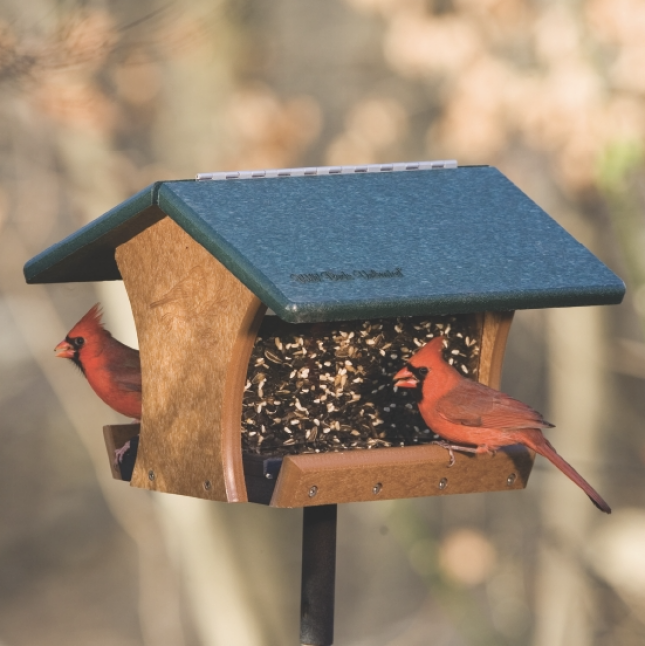 Northern Cardinal at WBU Hopper Feeder