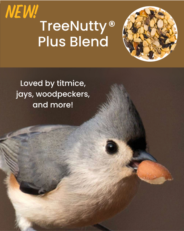 TreeNutty Plus Blend