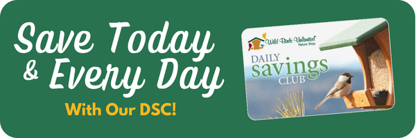 Daily Savings Club Banner