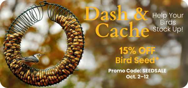 15% All Bird Seed Sale October 2-12, 2025