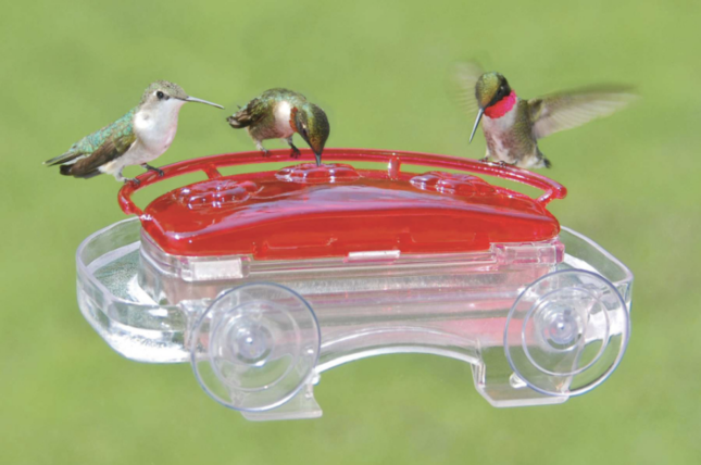 Hummingbird Window Feeder