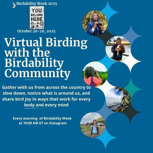 Birdability Week Virtual Birding 2025