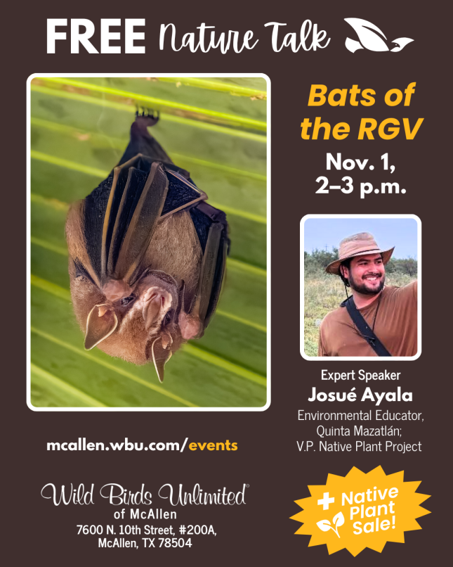 Free Nature Talk "Bats of the RGV: