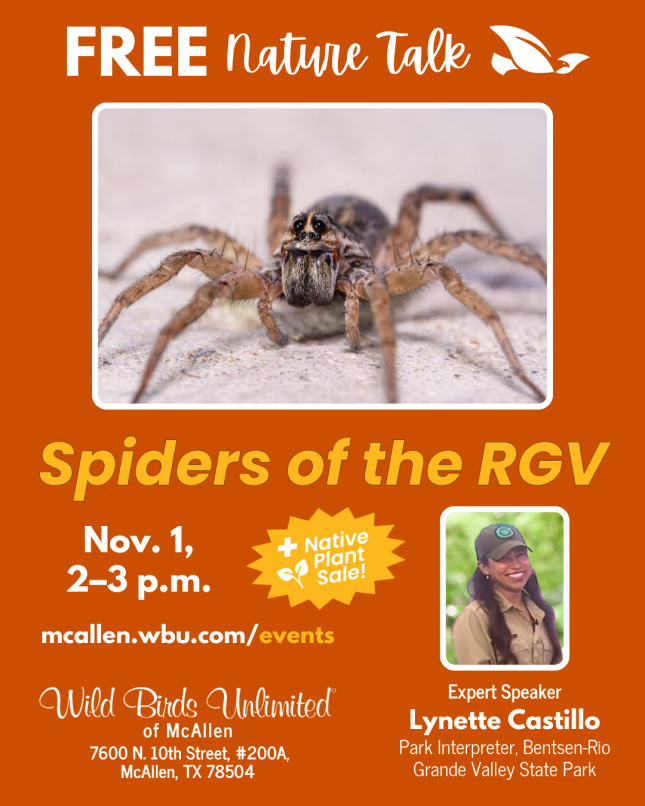 Free Nature Talk "Spiders of the RGV: