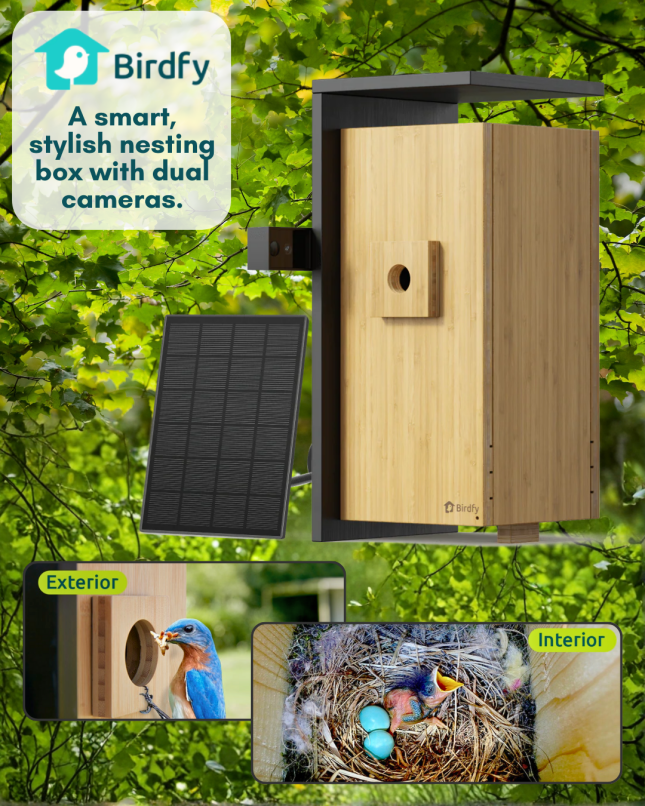 Birdfy Smart Nest Box - Bamboo