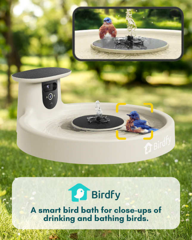 Birdfy Smart Bird Bath