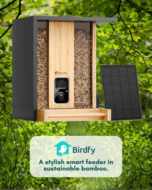 Birdfy Smart Bird Feeder - Bamboo