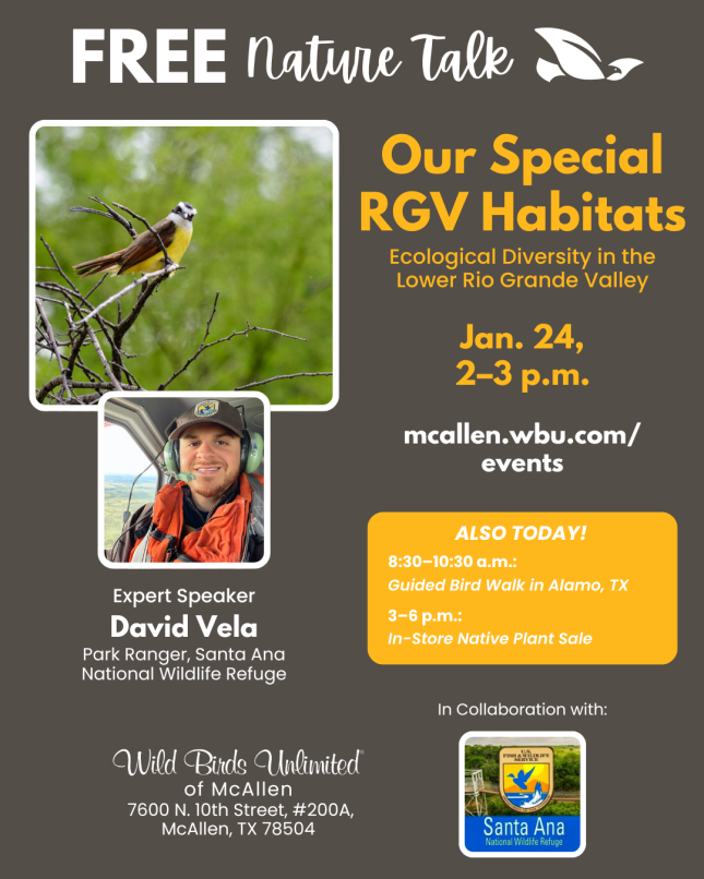 Bird Walk at Santa Ana National Wildlife Refuge