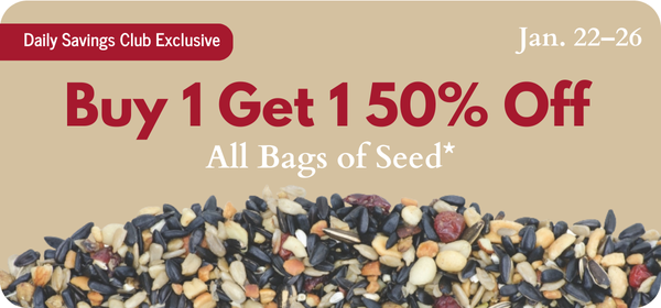 DSC Seed Sale January 2026