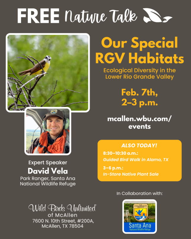 Bird Walk at Santa Ana National Wildlife Refuge