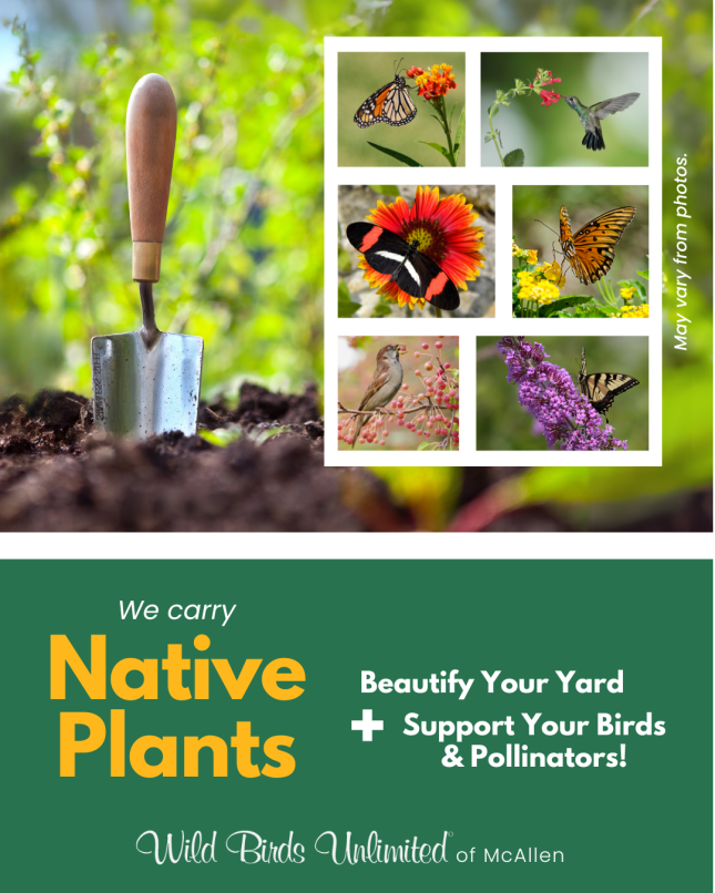 Native Plant Sales