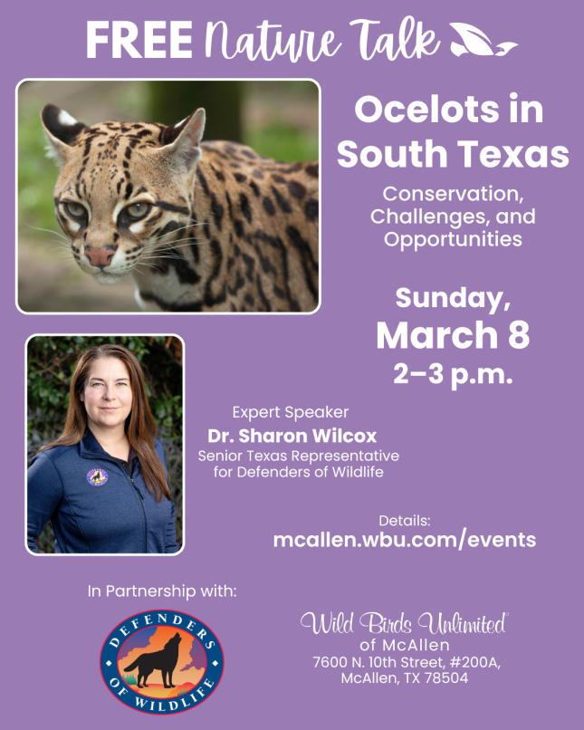 FREE Talk: "Ocelots in South Texas: Conservation, Challenges, and Opportunities," March 8