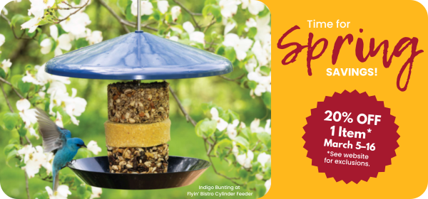 20% Off One Item Promo March 5-16, 2026