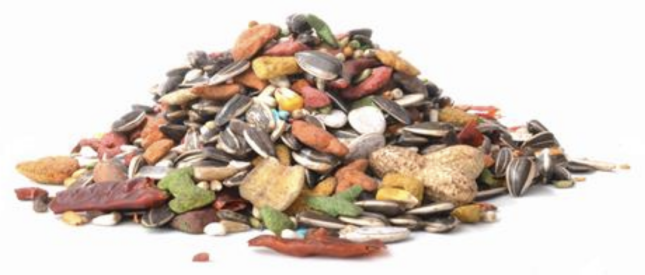 Lizzie Mae's Enriched Parrot Food 2026