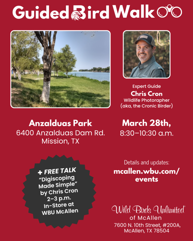 Free Guided Bird Walk in Mission
