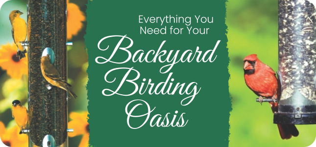 We've Got Everything You Need to Create Your Own Backyard Birding Oasis